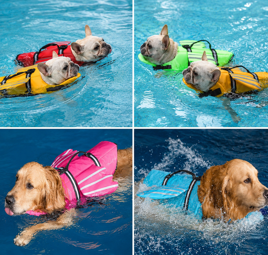 AquaPaw – Giubbotto Salvagente per Cani